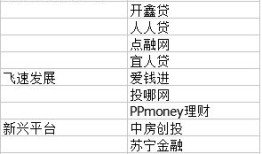 p2p理财经理个人简历怎么写