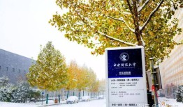 中央财经大学3 1项目怎么样