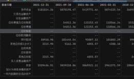 怎么从新浪财经网导出资产负债表