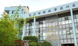 长沙财经学校本科升学率怎么样