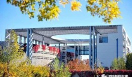 财经类大学的理工类专业怎么样
