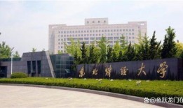 东北财经大学理工科专业怎么样
