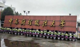 博文杯中南财经政法大学怎么参加
