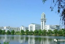 中南财经政法大学mba学院怎么样