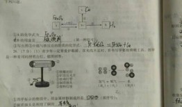 三年级财经素养探究题怎么做