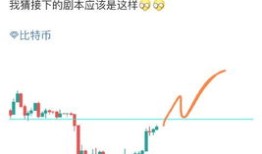 一个年轻人的理财经历怎么写