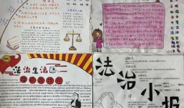 二年级财经小报怎么做好看