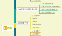 江西财经大学工商管理vr专业怎么样