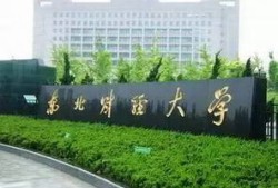 东北财经大学的宗立鹏怎么样