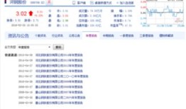 新浪财经网怎么下载资产负债表
