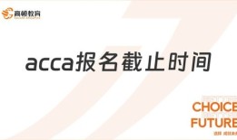 南京财经大学会计ACCA怎么样知乎
