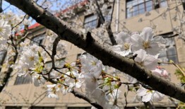 中央财经大学学校校园环境怎么样
