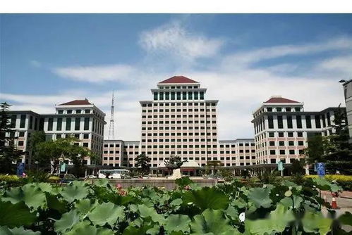 中央财经大学理论经济学怎么样
