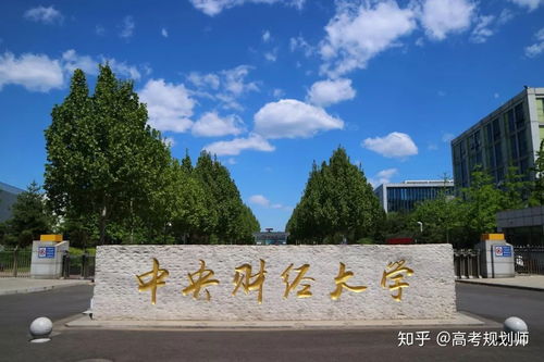 中央财经大学4 0项目怎么样