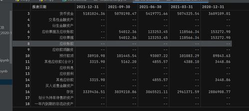 怎么从新浪财经网导出资产负债表