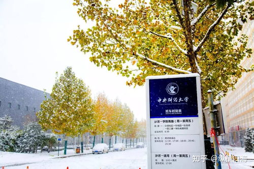 中央财经大学3 1项目怎么样