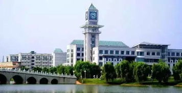 中南财经政法大学的考研率怎么样