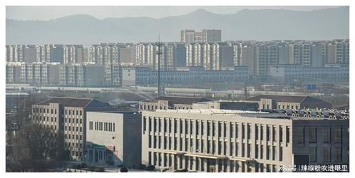 内蒙古财经大学考公务员怎么样