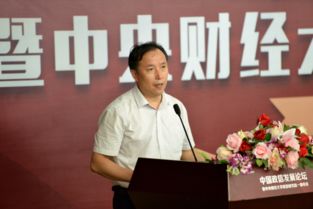 任强中央财经大学教授怎么样