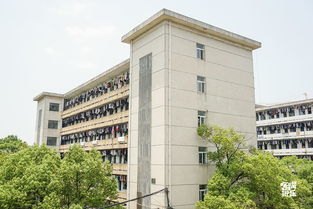 财经学院财政学怎么样好不好