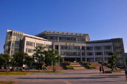 中南财经政法大学游泳池怎么样