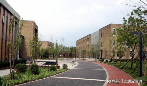 在中央财经大学上大学怎么样
