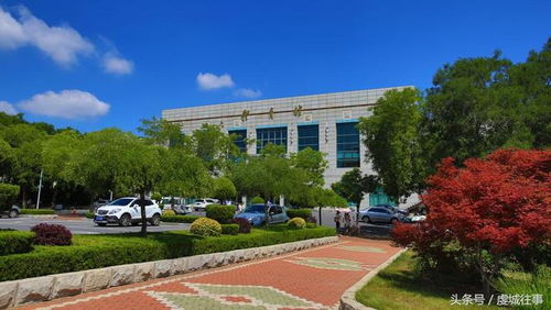 东北财经大学校园大吗怎么进