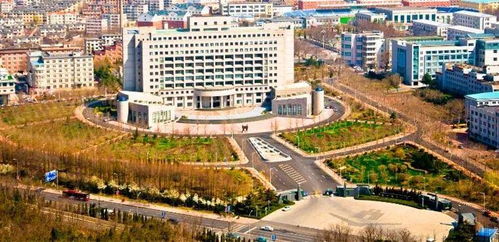 东北财经在江浙沪认可度怎么样
