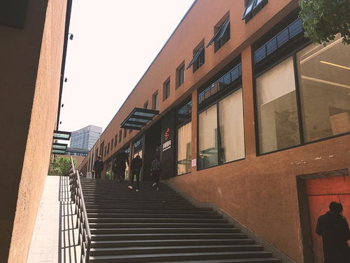 重庆财经学院acca班和cfa班怎么样