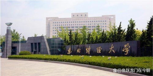 东北财经大学理工科专业怎么样