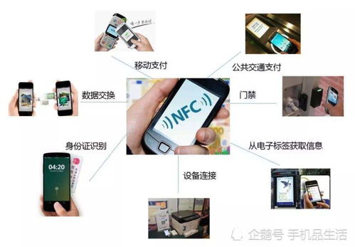 山东财经大学校园卡怎么绑nfc