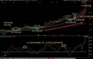 文化财经t8测试均线的自编函数怎么写