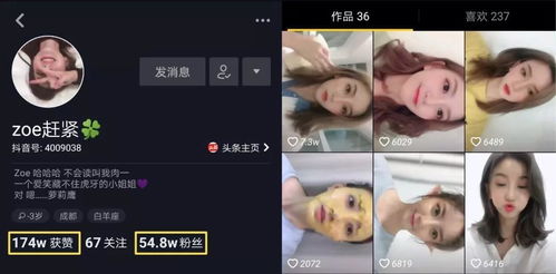 抖音财经博主多吗现在怎么样了