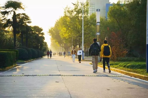 莫山农财经学院怎么样知乎