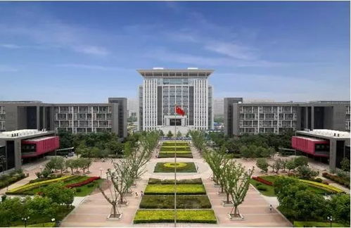 河南财经政法大学体育挂科怎么办
