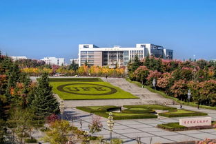 西安财经大学校园绿化怎么样