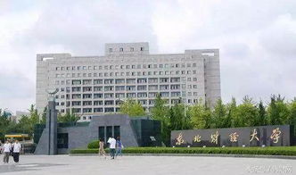 东北财经大学中外合作金融怎么样