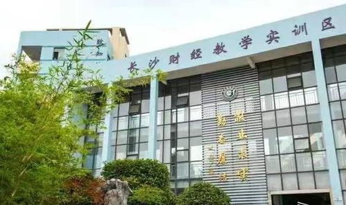 长沙财经学校本科升学率怎么样