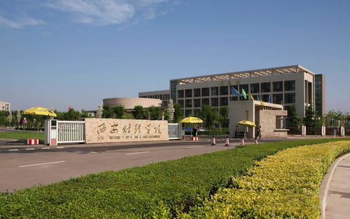 西安市财经大学就业率怎么样