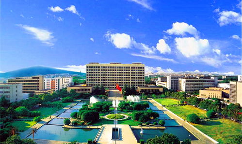 新疆财经大学学校校园环境怎么样
