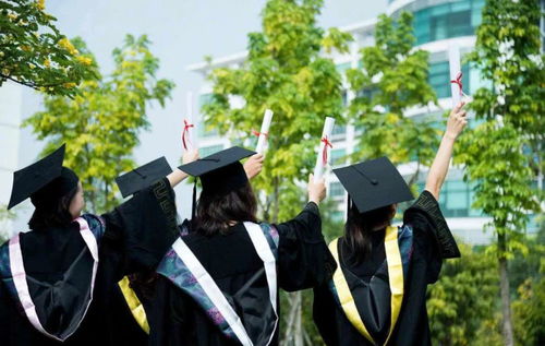 中央财经大学毕业怎么找工作的
