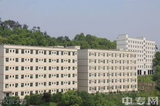 重庆财经学院财务管理专业怎么样
