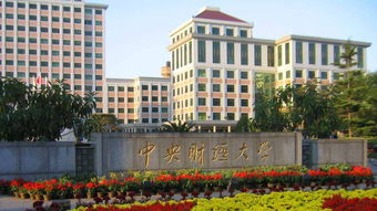 中央财经大学苏虹老师怎么样