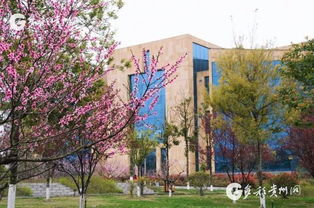 花燕路站到花溪财经大学怎么走