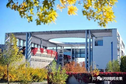 财经类大学的理工类专业怎么样