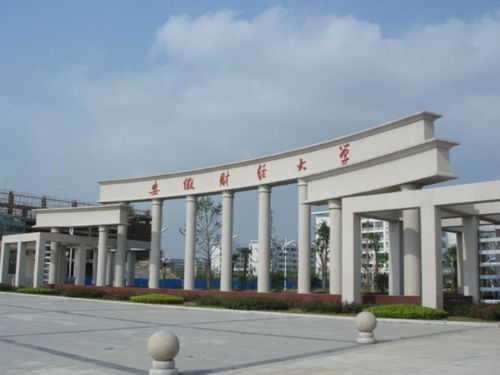 怎么进安徽财经大学校园网