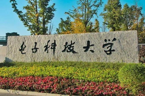华南理工的财经类专业怎么样