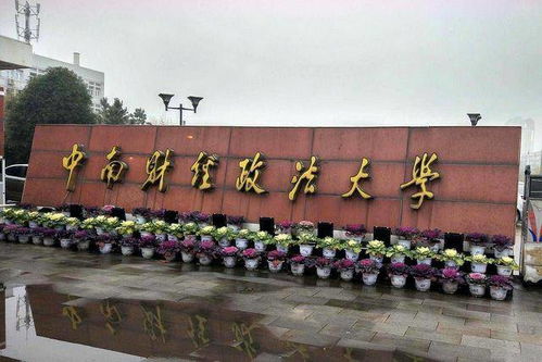 博文杯中南财经政法大学怎么参加
