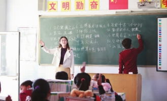 中央财经大学郑雯老师怎么样
