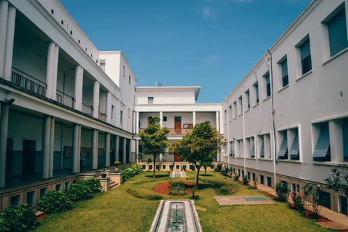 大连财经学院大一英语怎么算分的